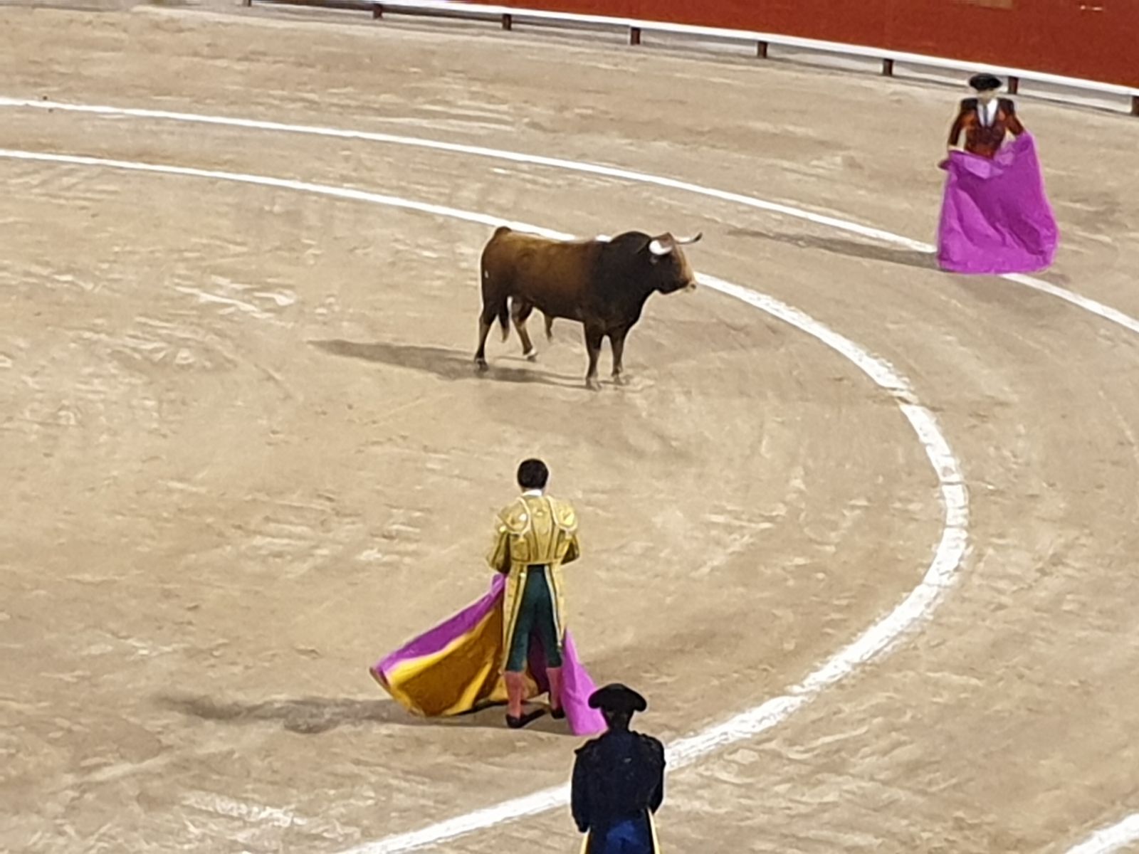 Stierengevecht Mallorca