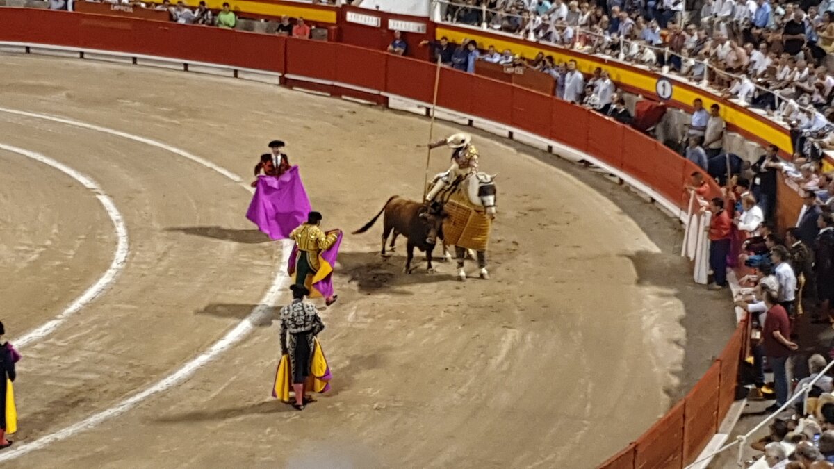 Aanklacht tegen stierengevecht Spanje voor niet volgen coronamaatregelen