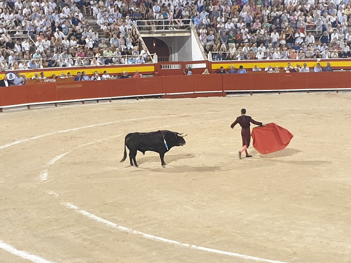 Charges against bullfight in Spain for not following measures against COVID-19
