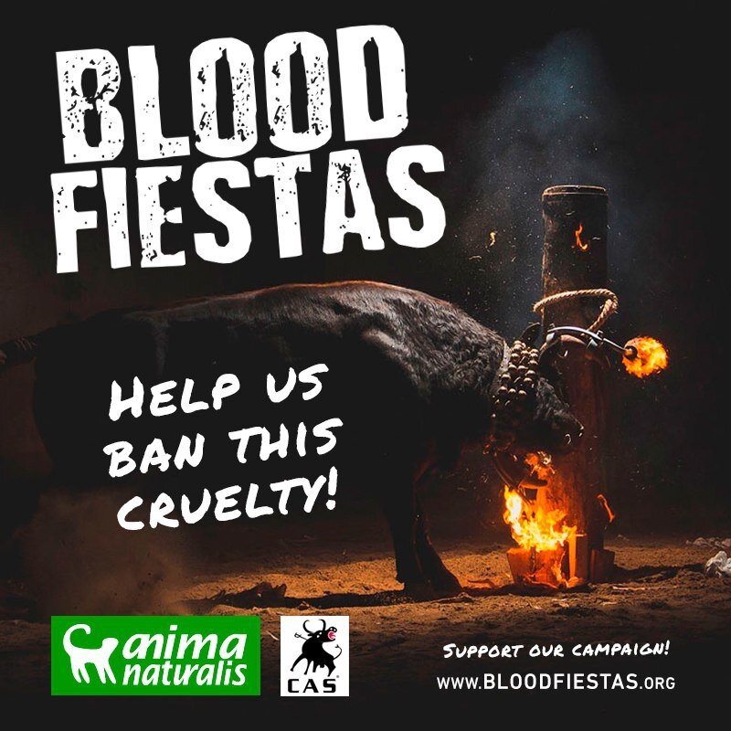 Stop de wrede stierenfeesten in Spanje