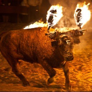Fire bull Valencia remains banned for third year in a row