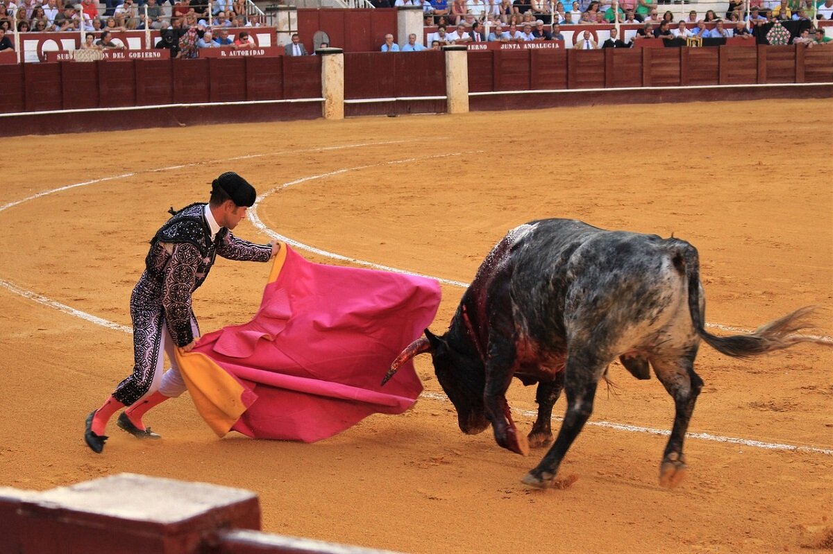 Cruelty bull runs Pamplona exposed