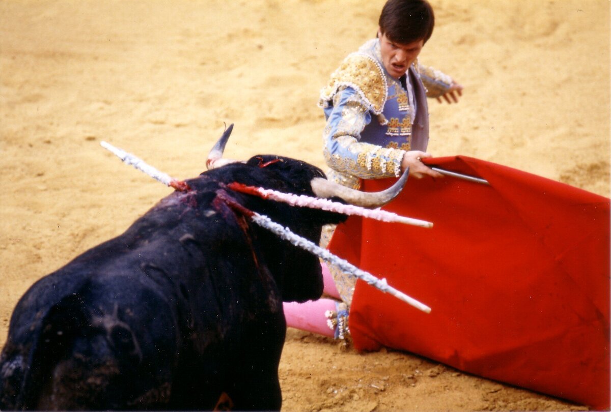 Volksgezondheid in gevaar door stierengevechten Spanje