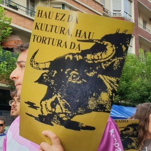 Gespannen sfeer bij protest tegen stierenvechten Bilbao