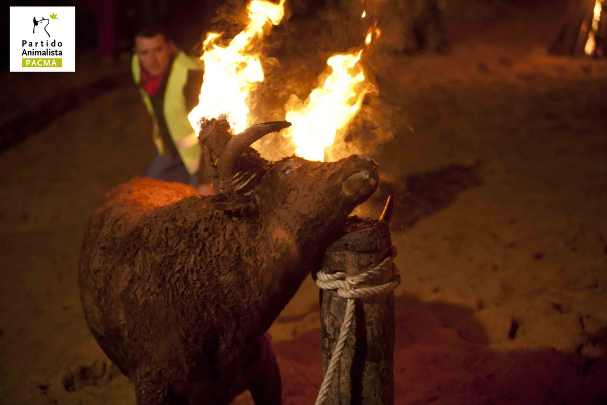 Se elimina el bous embolat en Algemesi, España