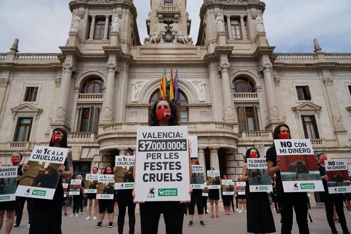 Protest against 37 million euros subsidies for cruel bull festivities in Valencia