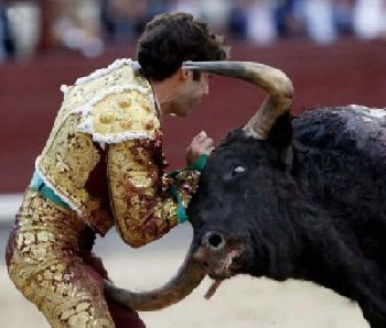 Eindelijk een einde aan stierengevechten in Catalonie!