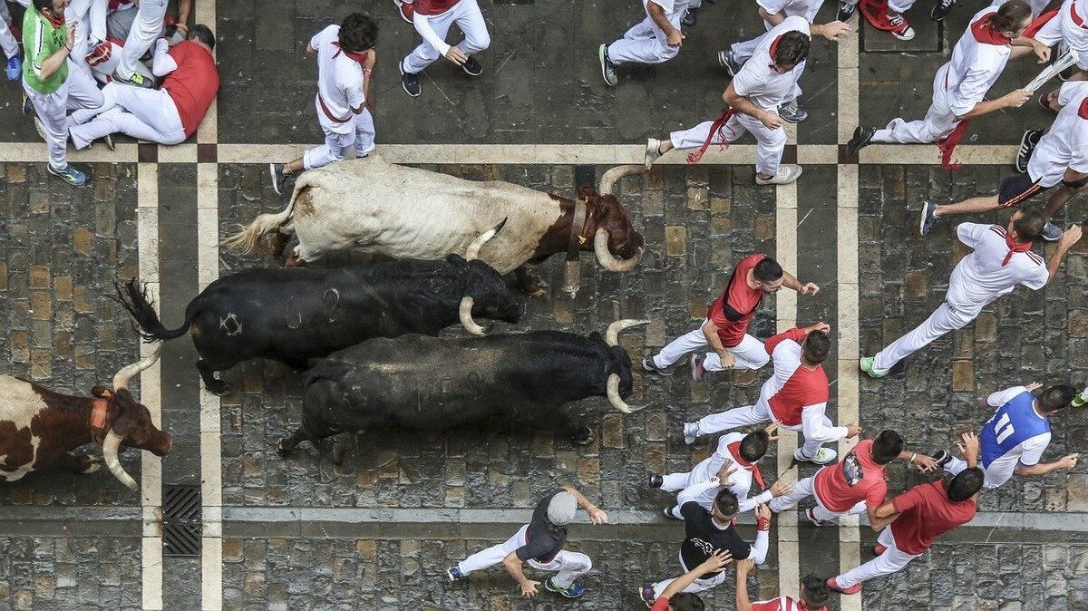 No bull runs in Pamplona for the first time in 42 years