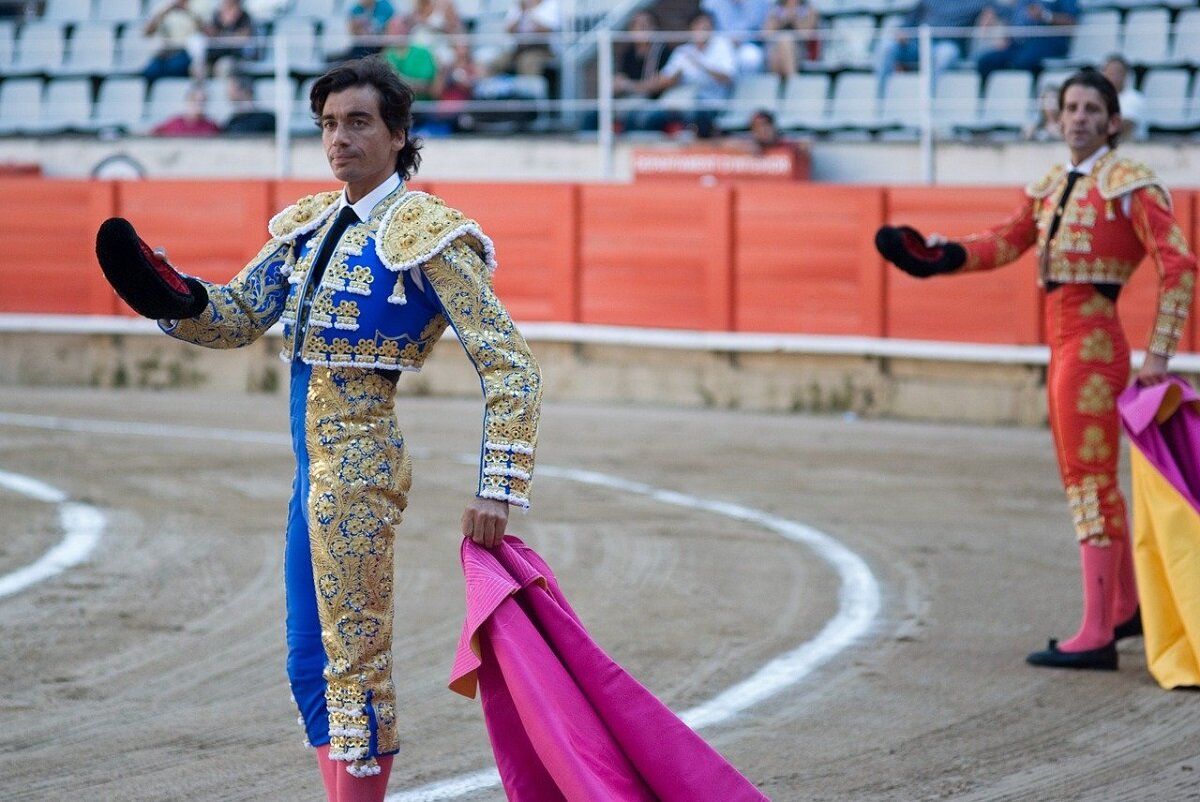 Supreme Court of Spain: bullfighter's work is not a work of art