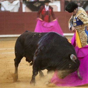 Spaanse regering wil stierenvechten op de Balearen doordrukken