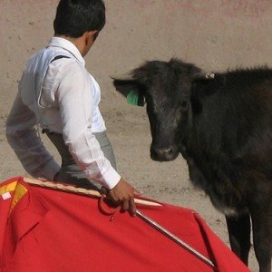 Verenigde Naties: geen kinderen naar stierengevechten in Spanje