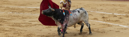 Colombia bans bullfighting