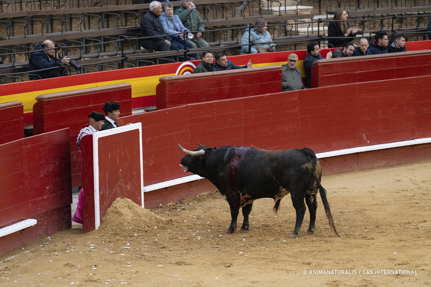 national prize for bullfighting